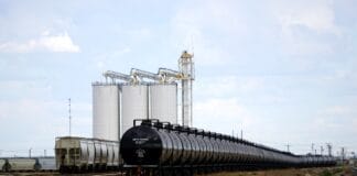 Jak powstają paliwa kopalne? Wyjaśnienie dla uczniów