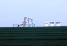 Petrochemia a zrównoważony rozwój – możliwe pojednanie?