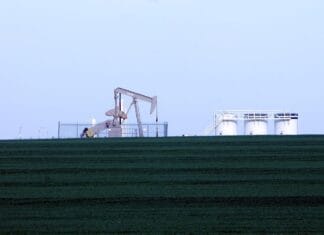 Jakie firmy dominują w sektorze wydobywczym w Polsce?