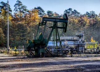 Co dalej z plastikiem? Przyszłość tworzyw w dobie recyklingu