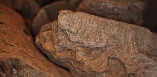 Zakaz sprzedaży pieców na węgiel – czy stanie się powszechny?